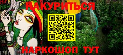 стафф Будённовск
