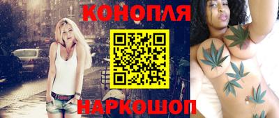 стафф Будённовск