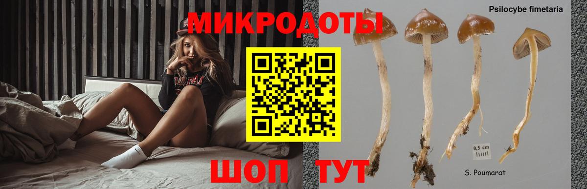 Псилоцибиновые грибы MAGIC MUSHROOMS  Вход с VPN  Южно-Сахалинск 